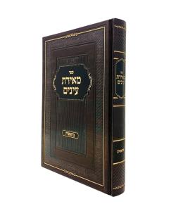 Meiras Einaim Torah Bereshis David