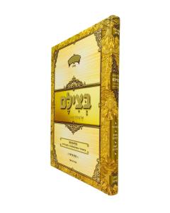 Betzilam Shel Gedolei Umeorei Hador Volume 3