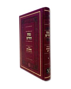 Nefesh Hachaim Nishmas Hayam Volume 2