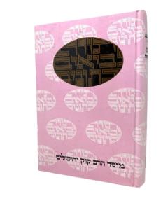 Daat Mikra Divrei Hayamim Volume 1