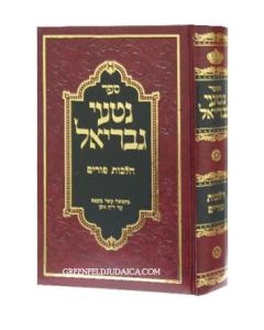 Nitei Gavriel Purim