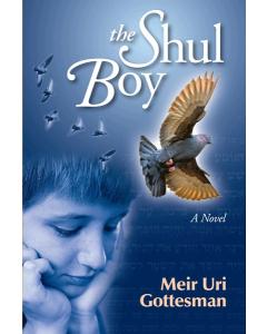 The Shul Boy [Paperback]