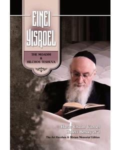 Einei Yisroel - Rabbi Yisroel Belsky on The Moadim and Hilchos Teshuva [Hardcover]