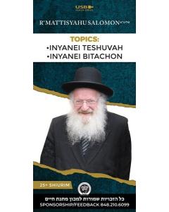 Rav Mattisyahu Salomon Vaadim - English Series 1 - USB