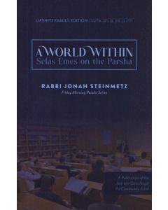 A World Beyond Maharal On Torah 2 Volume Steinmetz
