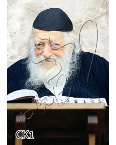 Rav Chaim 20" x 28" - Frame