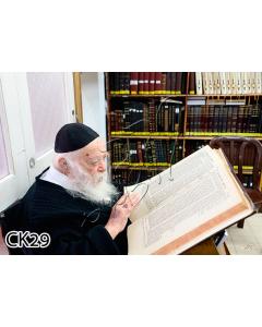 Rav Chaim Learning 20" x 28" - Frame