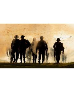 IDF By The Kotel- White Frame - 20" x 40"