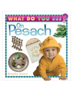 What Do You See on Pesach? [Boardbook]