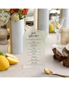 Lucite Simanim Display