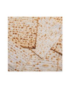 Passover Napkins