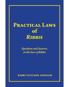 Practical laws of Ribbis:  Questions and Answers  on the laws of Ribbis