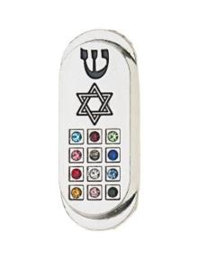 Car Mezuzah with Star and 12 Stones