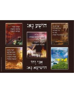 Laminated Poster - Hoshanot