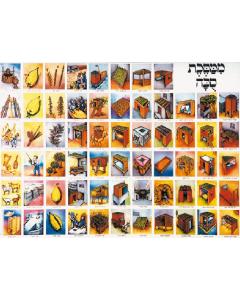 Laminated Poster 20" x 28"-- Masechet Sukkah