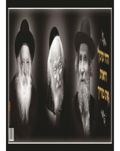 Laminated Poster 14"x 36" -- Rabbis