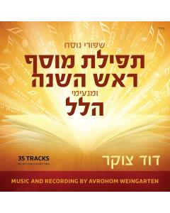 Dovid Cukier - Nusach Collection (USB)