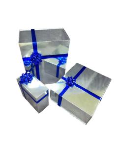 Gift Boxes (Large)