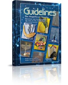 Guidlines: The Magnificent Months - 2 Volume Set