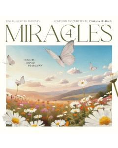 Miracles 4 USB