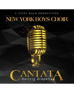 Cantata - Hartzig Acapella - CD