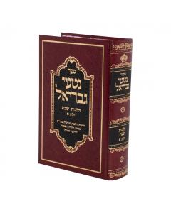Nitei Gavriel Bar Mitzva