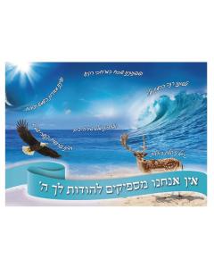 Laminated Poster 20" x 28"