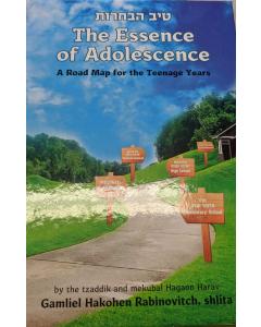 The Essence Of Adolescence