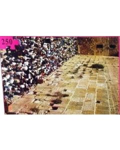 Puzzle The Western Wall 250PC