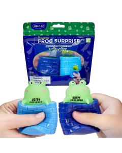 Passover Frog Surprise - Set of 2