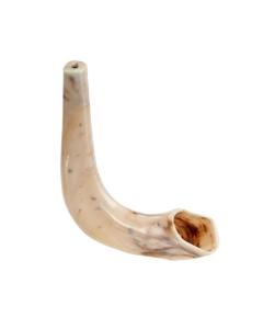 Realistic Plastic Toy Shofar