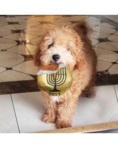 "Chewdaica"™ Chanukah Gelt, Dog Toy Plush  with Crinkle Paper and Squeaker