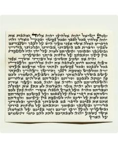 Mezuzah 12cm Bais Yosef Sofer Pachter - Not Returnable