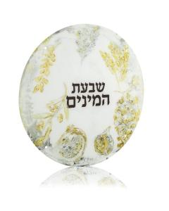 Painted Zelda Sukkah Decoration Round Shivas Haminim