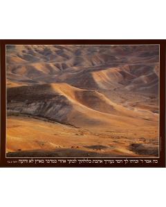 Judean Desert - Laminated Poster