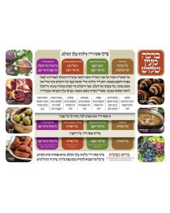 Bracha Mei'ein Shalosh - Laminated Poster