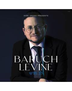 LEV CHUDASH BY BARUCH LEVINE USB