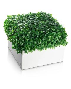 Boxwood Vase - Square