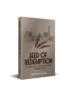 Seed of Redemption Megillas Rus [Hardcover]