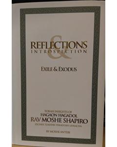Reflections & Introspection - Exile & Exodus