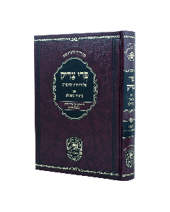 Pri Tzadik Meshulav Torah Shmos volume 1