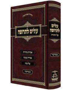 Alim Letrufa Torah Bemidbar Shechter