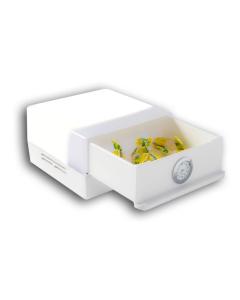 SHABLED Shabbos Lamp Led, White Body, Stainless Steel Clock,