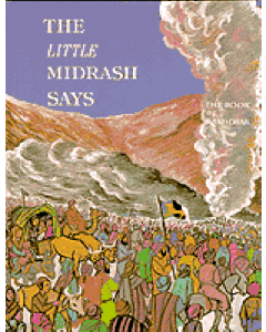 The Little Midrash Says On Torah  - Bamidbar