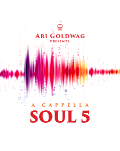 Ari Goldwag Cd Acapella Soul 5