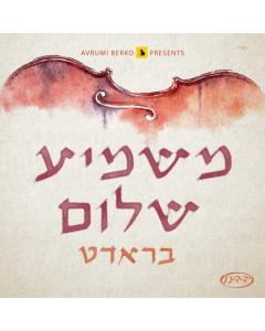 Shulem Brodt Cd Mashmia Shuloim