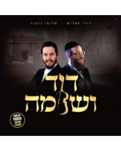 Shloime Gertner CD Dovid V'Shloime