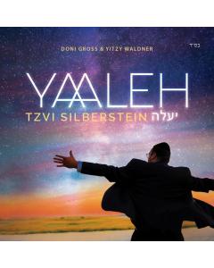 Tzvi Silberstein CD Yaaleh