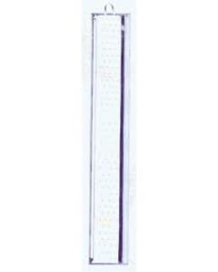 Clear Plastic Lulav Holder