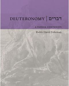 Deuteronomy: A Parsha Companion by Rabbi David Fohrman